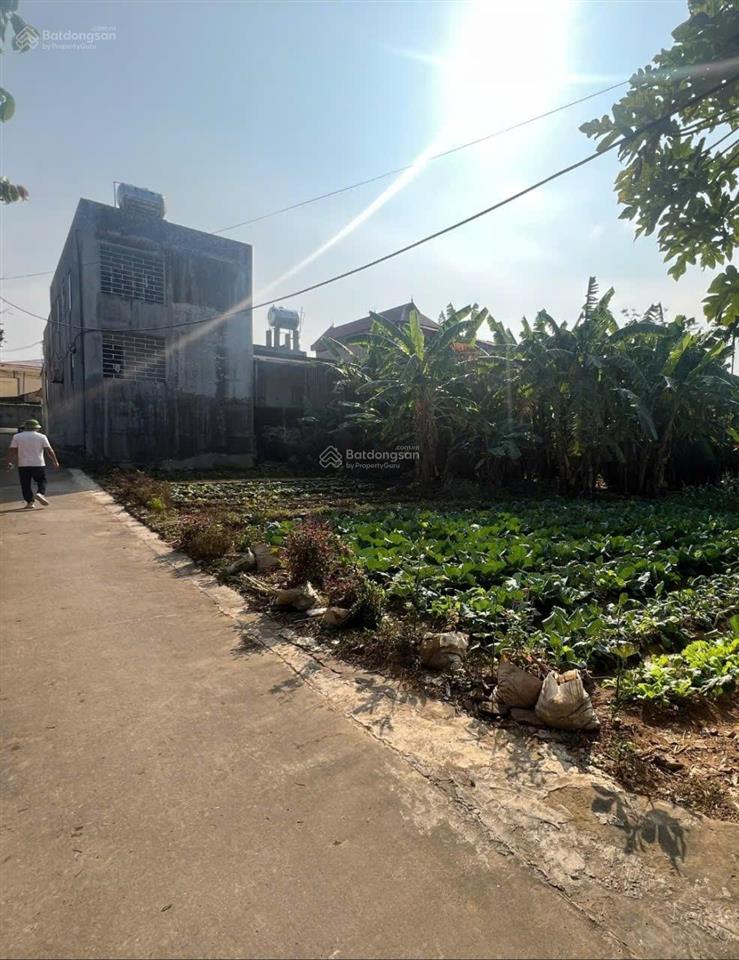 Đất ở + kinh doanh ngay ngã tư chợ muối lan mẫu