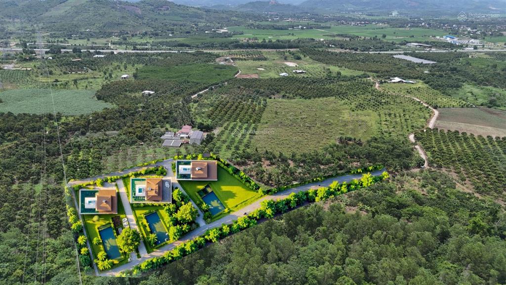 Bán đất 10.000m² gần ql27c giá tốt đầu tư dài hạn