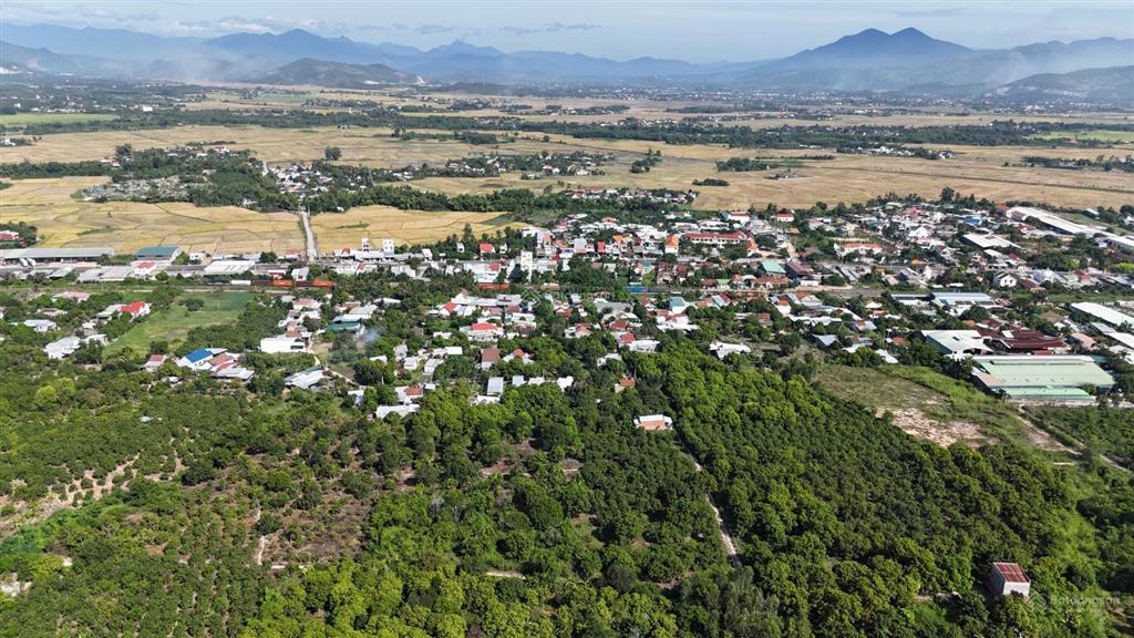 Đất vườn suối hiệp gần ql1 diện tích lớn giá 1 triệu/m2