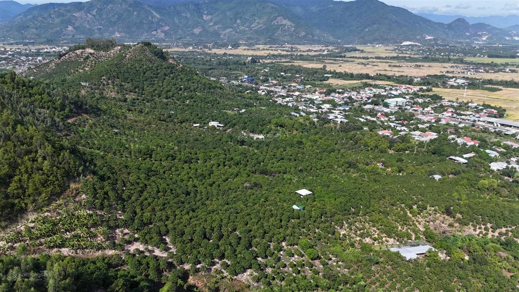 Đất vườn suối hiệp gần ql1 diện tích lớn giá 1 triệu/m2