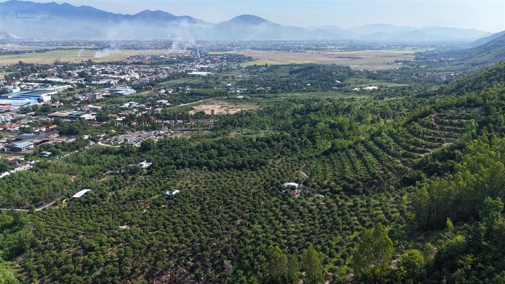 Đất vườn suối hiệp gần ql1 diện tích lớn giá 1 triệu/m2