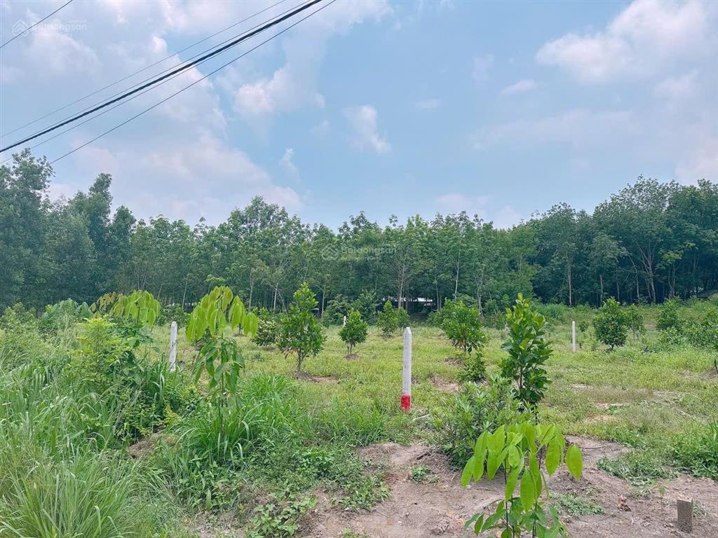 Cách ủy ban an thái 200m. 5x47m, tc 100m2