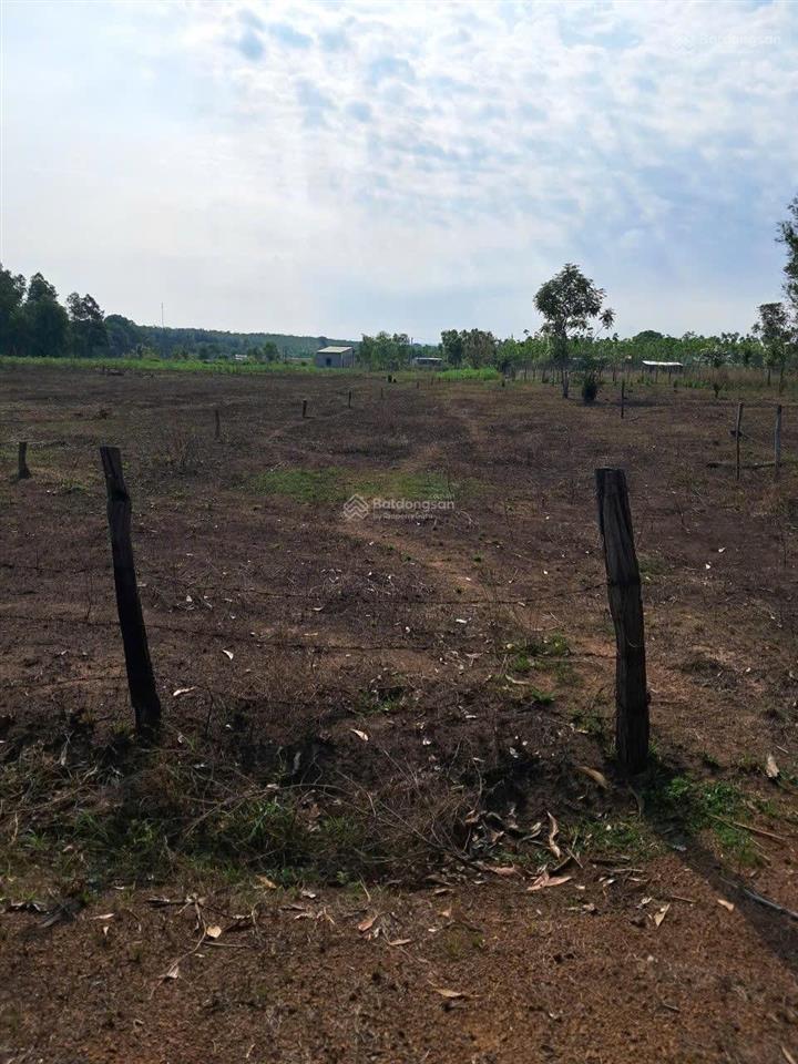 Cần bán gấp lô đất tại lộc hưng, lộc ninh diện tích hơn 1.000m² (có 100m² thổ cư)