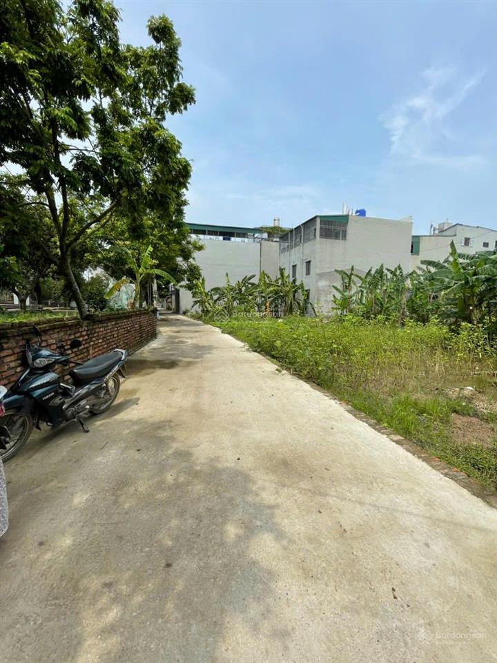 49m 2,4 tỷ đất ở phụng châu giá rẻ so với khu vực cách đại học tdtt chỉ 500m