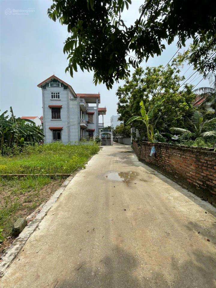 46,5m 3,15 tỷ đất vuông vắn phụng châu gần trường đại học tdtt