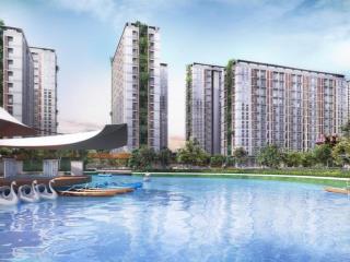 Giá bán the win city (rổ hàng đẹp  ck 13.5%)