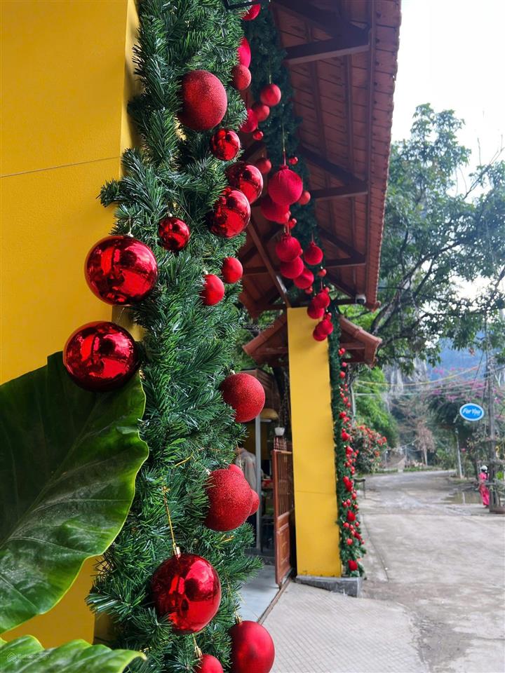 Bán homestay nghỉ dưỡng du lịch siêu rộng 2000m2 tại gia xuân  gia viễn  ninh bình