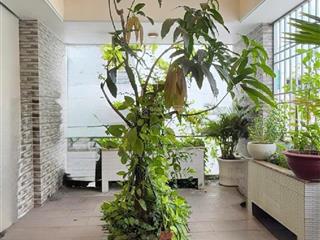 Siêu phẩm hẻm lạc long quân, tân bình, 3 tầng 61m2, tặng nội thất. nhỉnh 7 tỷ