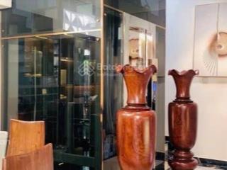 Biệt thự vip  thang máy  nội thất xa hoa cmt8  tú xương  võ thị sáu q3  hiếm nhà bán.