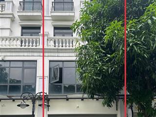 Bán shophouse ngọc trai căn nt6  254 ocean park 1