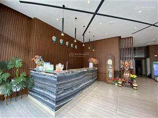 Mặt phố mai hắc đế  8 tầng  thang máy  98m2  dòng tiền  sổ vuông.