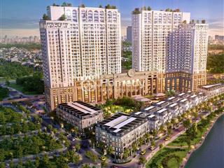 Bán căn hộ 3pn, 2wc tại roman plaza, 8 tỷ vnd, 99m2, hướng đông bắc, ban công tây nam
