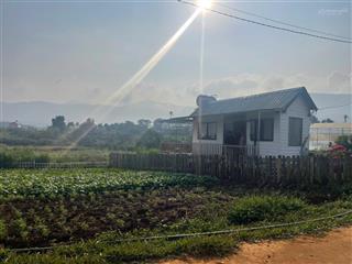 Bán đất đẹp tại đông thanh, lâm hà, lâm đồng, 599 triệu, 108m2