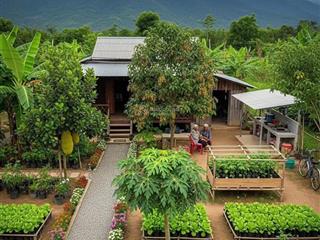 1 mẫu đất view đồi cực đẹp ngay đường dẫn lên cao tốc giá 2tỷ500