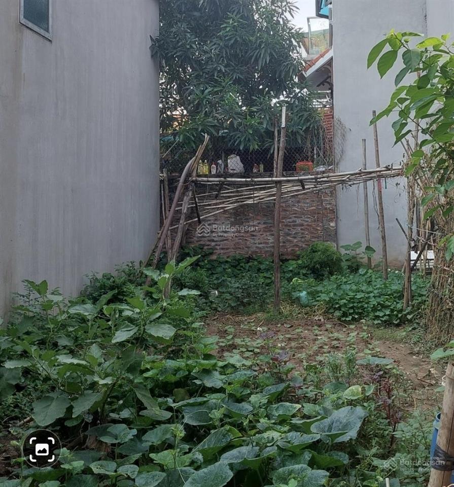 Mặt ngõ đại cát 55m² đất vuông ngõ nông, rộng ô tô 5 tạ giá chỉ hơn 5 tỷ rẻ hơn thị trường 15%