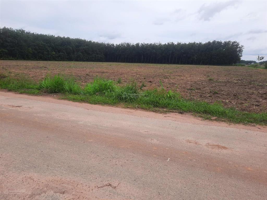 Bán lô đất (19.740m2) qh skc kế bên kcn bàu bàng lô góc 2 mặt tiền cực đẹp giá 39tỷ900 vị trí víp