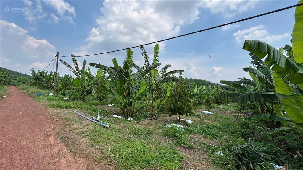 Bán 10ha ngân hàng định giá 80 tỷ giá bán gấp 52 tỷ tl, giá quá thơm khách ơi