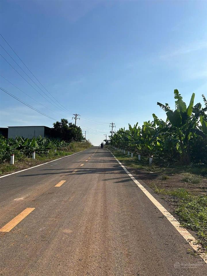 Bán 10ha ngân hàng định giá 80 tỷ giá bán gấp 52 tỷ tl, giá quá thơm khách ơi