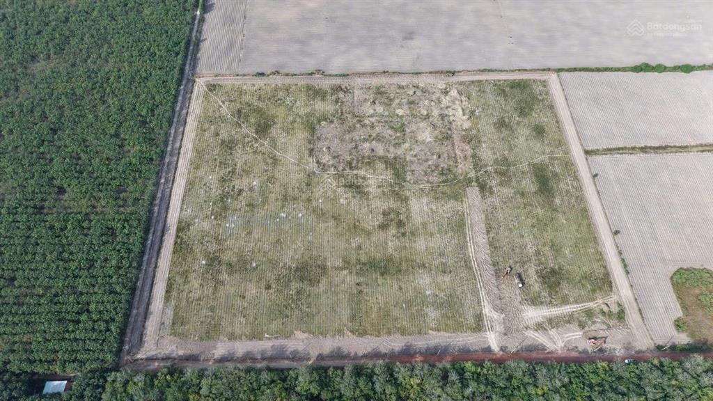 Nguồn skc 8ha skc đóng tiền 1 lần 50 năm, đất vị trí đẹp xung quanh nhiều xưởng, phù hợp đầu tư