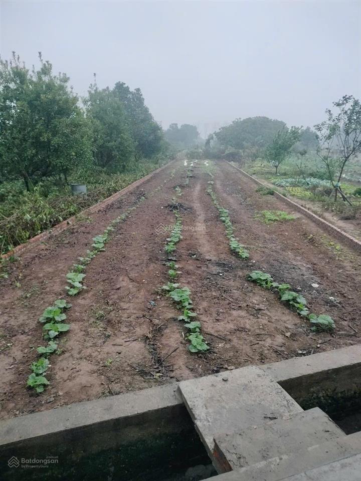 Bán lô đất 348m2 cln, mặt tiền đường nhựa 10m ngay cạnh khu dân cư tại yên lộ, yên nghĩa, hà đông