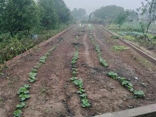 Bán lô đất 348m2 cln, mặt tiền đường nhựa 10m ngay cạnh khu dân cư tại yên lộ, yên nghĩa, hà đông