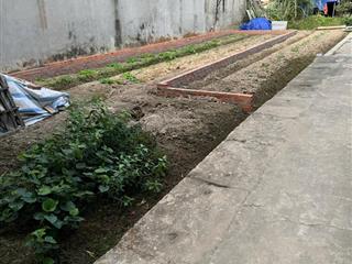 80m2 full thổ cư yên nhân, tiền phong, mê linh giá chỉ 38tr/m2