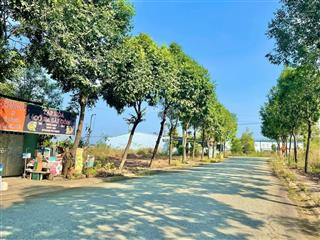 Đất thổ cư đường bạch đằng, vĩnh tân, tân uyên mà chỉ 560 triệu cách kcn vsip2 323m2, đường nhựa 6m