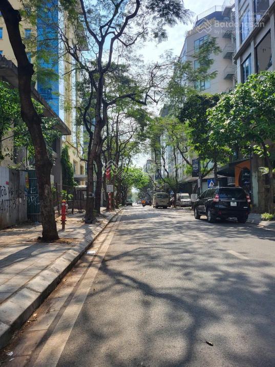 Bán nhà mặt phố lô góc p cầu giấy mới, 200m2 mt 13m văn phòng xây dựng cao cấp, penhouse ở trên