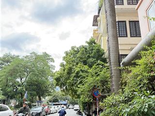 Tô ngọc vân  quảng an  tây hồ ~200m2  54.99tỷ
khu phố tây, xây apartment dòng tiền tuyệt vời