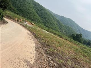 100ha đất rừng tại thanh sơn phú thọ. thích hợp cho ac trồng cây dược liệu. chủ cần bán gấp