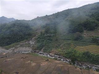 101 ha đất rừng cần bán tại phù yên sơn là cách khu du lịch tà sùa 5km