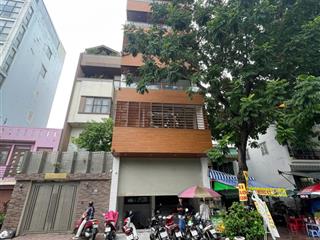 Chính chủ cho thuê building mt hoàng sa , quận 1  7x15  hầm 6 tầng thang máy