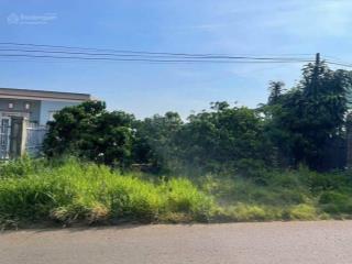 Bán đất 1200m2 tại đinh công tráng, lộc châu, bảo lộc | giá bán nhanh 1,2 tỷ