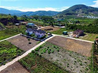 Hàng ngộp bank cần bán gấp lô đất đẹp ngay khu homestay view đồi thông, giá 600 triệu