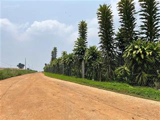 Bán đất đẹp tại hoài đức, lâm hà view đồi chè chỉ 650 tr/sào