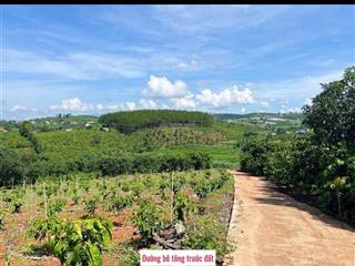 Chính chủ gửi bán lô đất view hồ di linh, lâm đồng