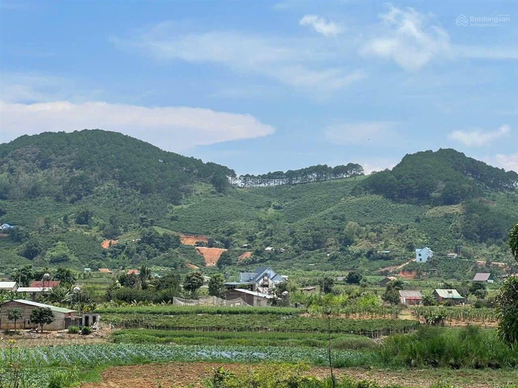 Kẹt tiền trả nợ chủ gửi bán lô đất 1000m2, cắt lỗ chỉ 750 tr tại đức trọng, lâm đồng