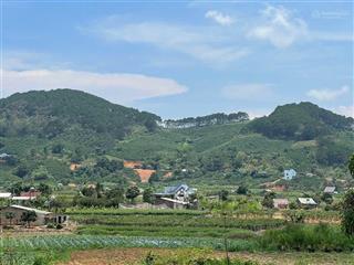 Kẹt tiền trả nợ chủ gửi bán lô đất 1000m2, cắt lỗ chỉ 750 tr tại đức trọng, lâm đồng
