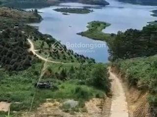 Bán gấp trong tuần, cắt lỗ 40% lô đất view hồ 320m2 ở di linh, lâm đồng