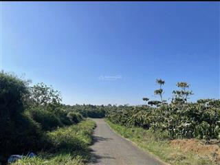 Cần tiền bán gấp, đất siêu đẹp tại lộc an 230m2 sẵn 100m2 thổ cư, bán gấp giá cực tốt 500tr