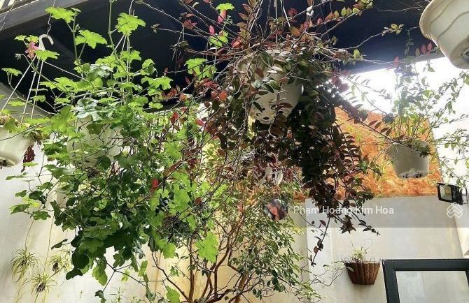 Gấp chủ đi định cư cần bán ngộp căn nhà ở đường an bình 65m2, p6, đà lạt