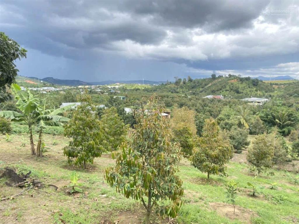 Bán gấp 1 sào đất vườn giá ngộp 490 triệu tt thạnh mỹ, đơn dương