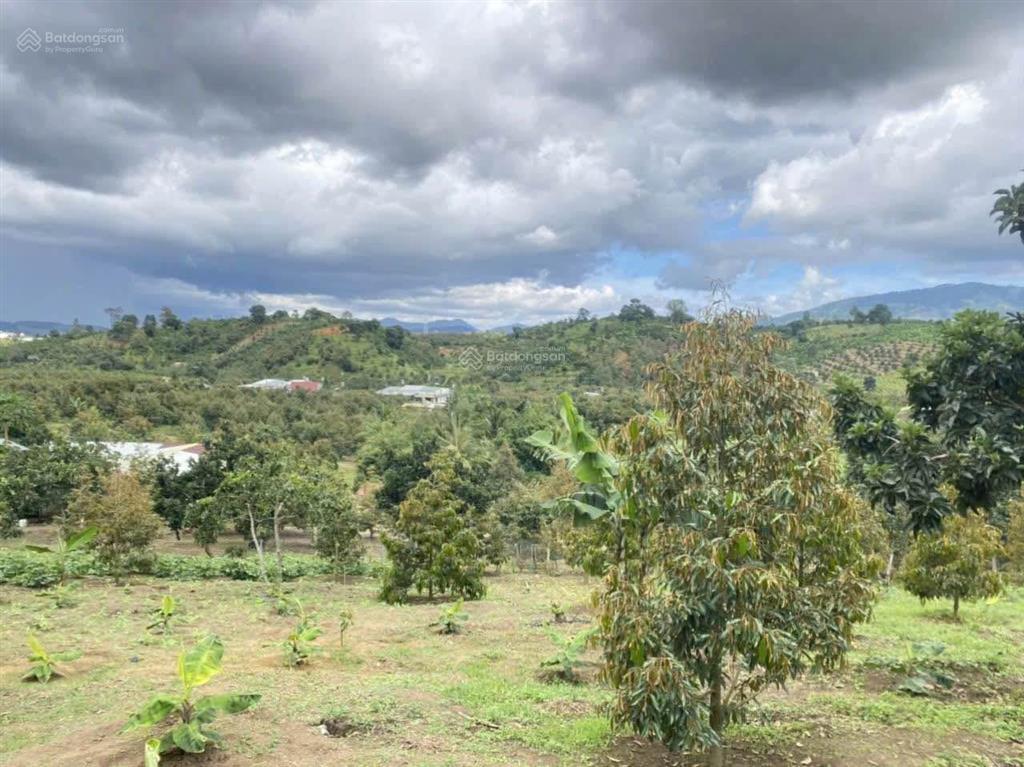 Bán gấp 1 sào đất vườn giá ngộp 490 triệu tt thạnh mỹ, đơn dương