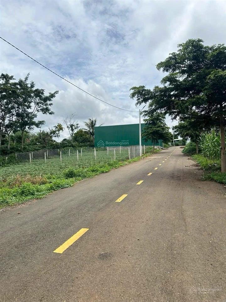 Cắt lỗ 60% cần bán gấp lô 200m2 tt liên nghĩa, đức trọng, full 100% giá 650tr