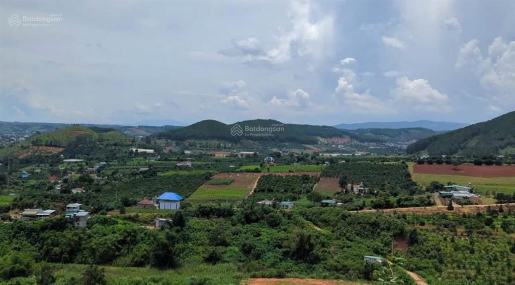 Cắt lỗ 60% cần bán gấp lô 200m2 tt liên nghĩa, đức trọng, full 100% giá 650tr