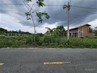 Chú hải cần bán 2.719m2  1tỷ750 đất trồng cây có thể lên thổ cư được. đường nhị bình 5, hoc môn