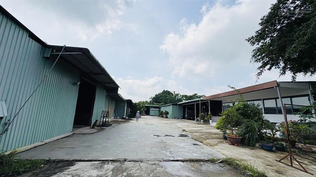 Bán kho, nhà xưởng 49,5 tỷ, 2914m2 mặt tiền đường 412, xã phước vĩnh an, củ chi, hcm