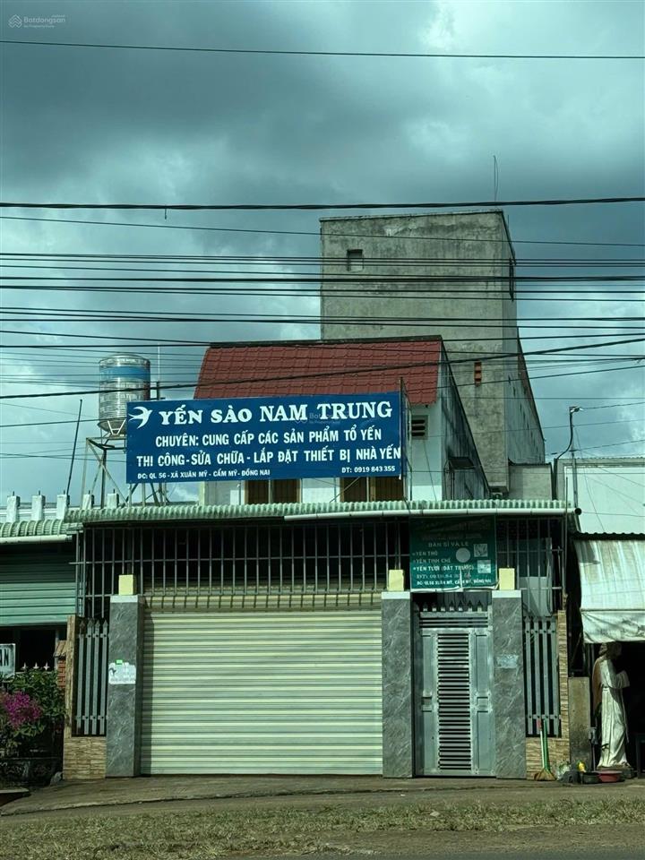 Bán nhà riêng tại quốc lộ 56, xã xuân mỹ, cẩm mỹ, đồng nai, 3 tỷ, 243 m2, hot!