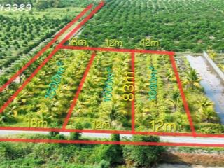 Hàng hiếm - Đất vườn siêu đẹp tại Thủ Thừa giá 789tr / DT 1000mv