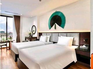 Siêu hiếm homestay cầu gỗ  100m2x9tx4.4m mặt tiền chỉ 110 tỷ  dòng tiền 300tr/tháng